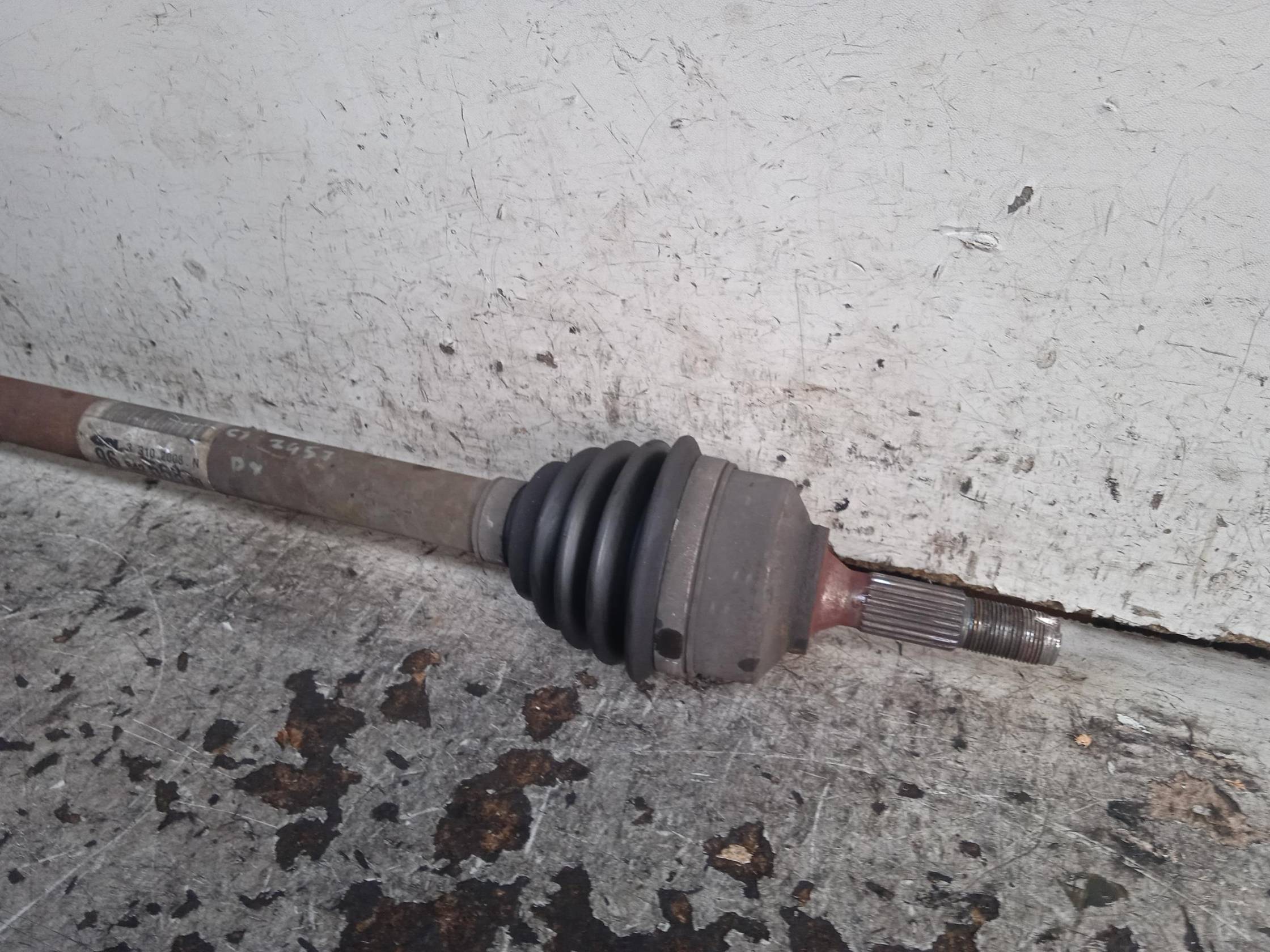 Semialbero ant. compl. dx.